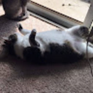 Meet your Posher, Starr